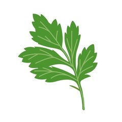 よもぎ蒸し