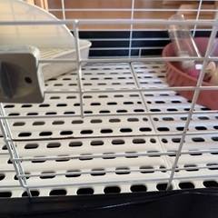 ラビットケージ　うさぎ小屋の画像