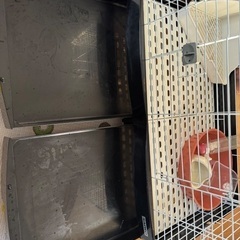 ラビットケージ　うさぎ小屋の画像