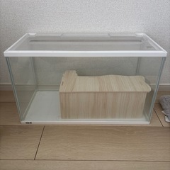 水槽の画像