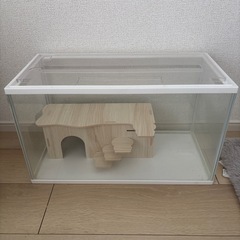 水槽