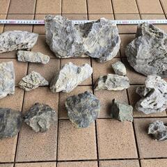 水槽用　青龍石の画像