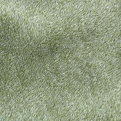 カーペットの画像