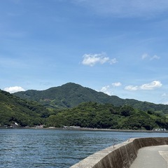 独身のライン友達