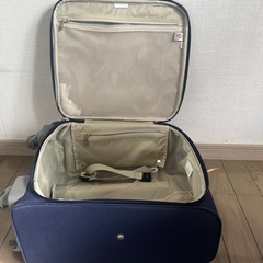 キャリーバッグの画像