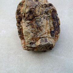 ★岐阜石をお譲りします。の画像