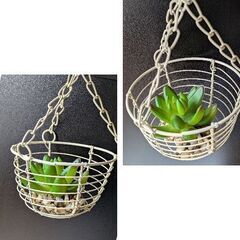 フェイク/多肉植物オブジェ差し上げますの画像