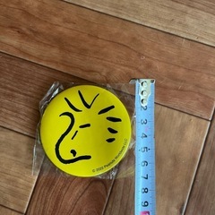 ミニ　ミラー