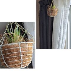 フェイク/多肉植物オブジェ差し上げますの画像