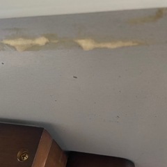 サイズ調整できるダイニングテーブルの画像