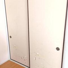 建具　襖　ふすま