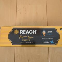 新品　リーチ歯磨、ファドリックホテル（柔軟剤）セット　の画像