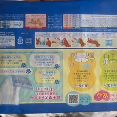 値下げ中　
マナーウェアとペットウェットの画像