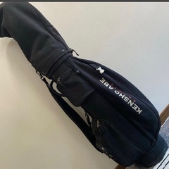 KENSHO ABE レディース ゴルフクラブ 9本 ハーフ ゴルフ ボール ウエストポーチ カラスヘッドカバー セットの画像