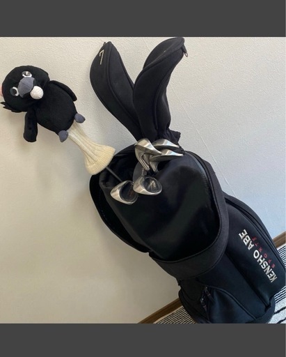 KENSHO ABE レディース ゴルフクラブ 9本 ハーフ ゴルフ ボール ウエストポーチ カラスヘッドカバー セット