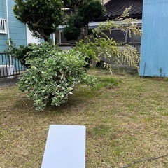 Starlink Dish V2 Gen2 セット（ポール付属）...