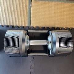 プロバーベル　可変式ダンベル41.5kg 2個セットの画像