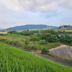 非営利ドッグラン企画・設営・管理