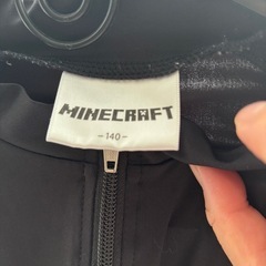 マイクラ　ラッシュガードの画像