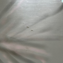 白いテーブルクロスの画像