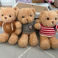 未使用品　くまぬいぐるみ3点セット