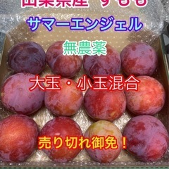 すもも プラム サマーエンジェルの画像