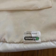 中古品LeSportsacバッグの画像
