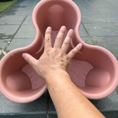 ハーベリーポット４３号　鉢　３個セットの画像