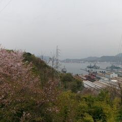 週2日～/1日4h～勤務OK！Wワーク（副業）や育児中にもピッタリの生活サポーターの画像