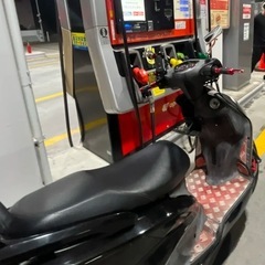 シグナスの画像