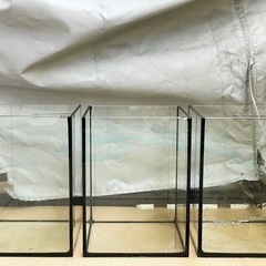 【おまけ付き】小型ガラス水槽 3個セット