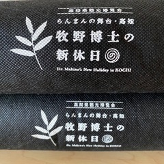 レジャーシートの画像