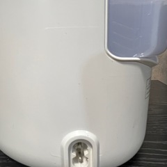 Panasonic ナノスチーマーの画像