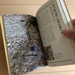⑭-1　キャンプ本 大人の野遊びマニュアル サバイバル アウトドア ブッシュクラフトの画像