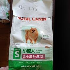 ペットフード　ロイヤルカナン　ROYALCANINの画像