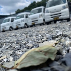 急募　　　冷蔵車案件の画像