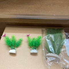 鑑賞用水槽部品の画像