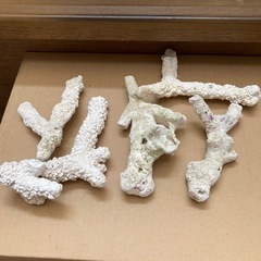 鑑賞用水槽部品の画像