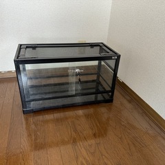 REPTI WILD 爬虫類
 ケージ　＋α 