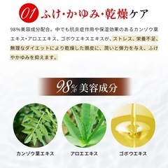 青森でのお取引7/18まで　最終値下げ　薬用ヘアマジカエッセンス ヘアケア 頭皮ケア 保湿 発毛 育毛 男女兼用の画像