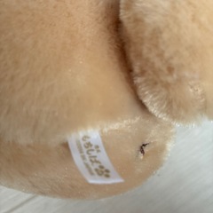 忠犬 もちしば ぬいぐるみの画像