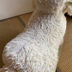 もらってください！！おもちゃ　🐏ひつじのロッキング🐏訳あり品 の画像
