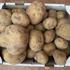 新じゃがいも1kg