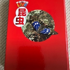 【再値下げ】学研の図鑑　LIVE 昆虫の画像