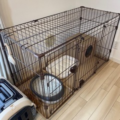 【CAINZ】ツールームサークルの画像