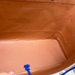 ルイビトン　大きな紙袋の画像