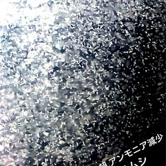 💟超.極上🤎竜章鳳姿🤎メダカ.有精卵.計３３個+爆殖💥ゾウリムシ1500.ml=付 No③の画像