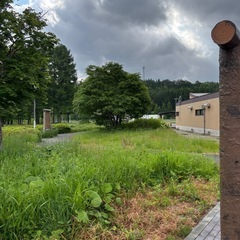 50代ですが…