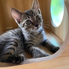 2ヶ月　男の子　