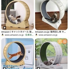 猫の回し車（ルームランナー）